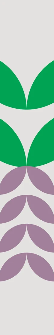 Granfer Branding 8